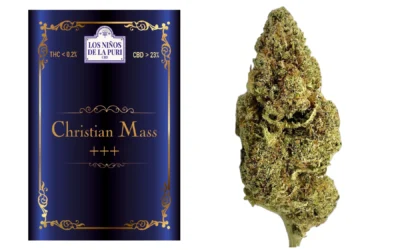 Cristian Mass Cbd