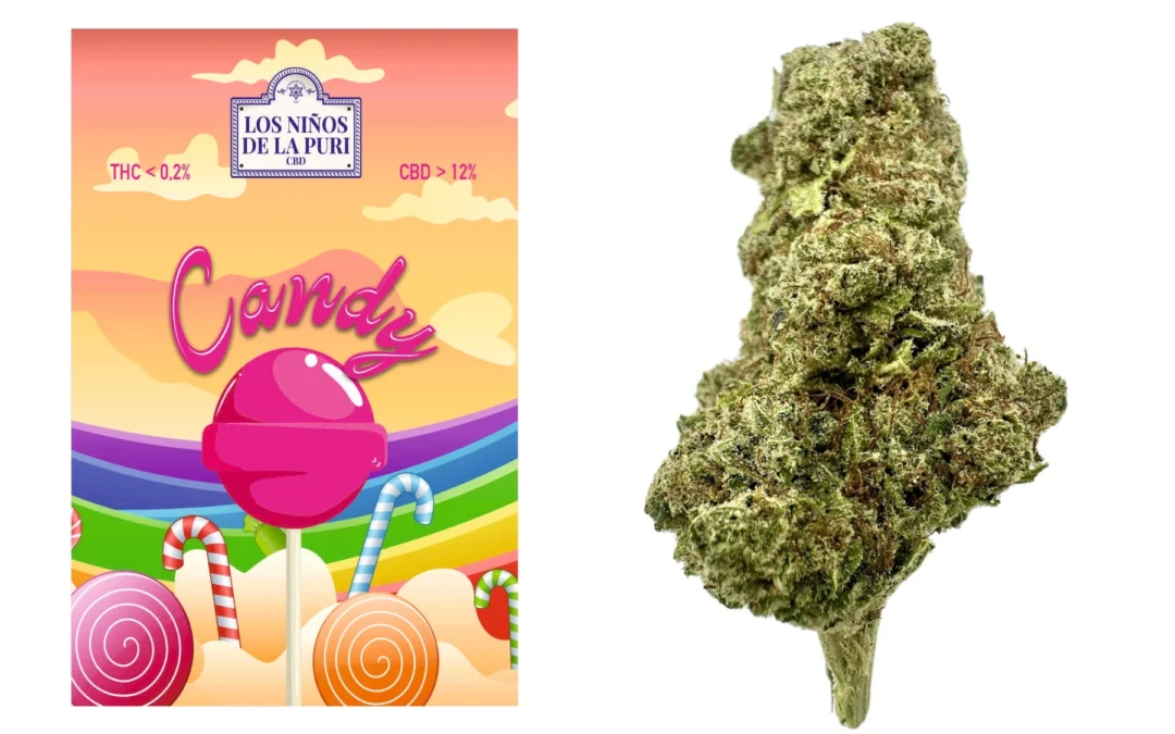 Candy Cbd