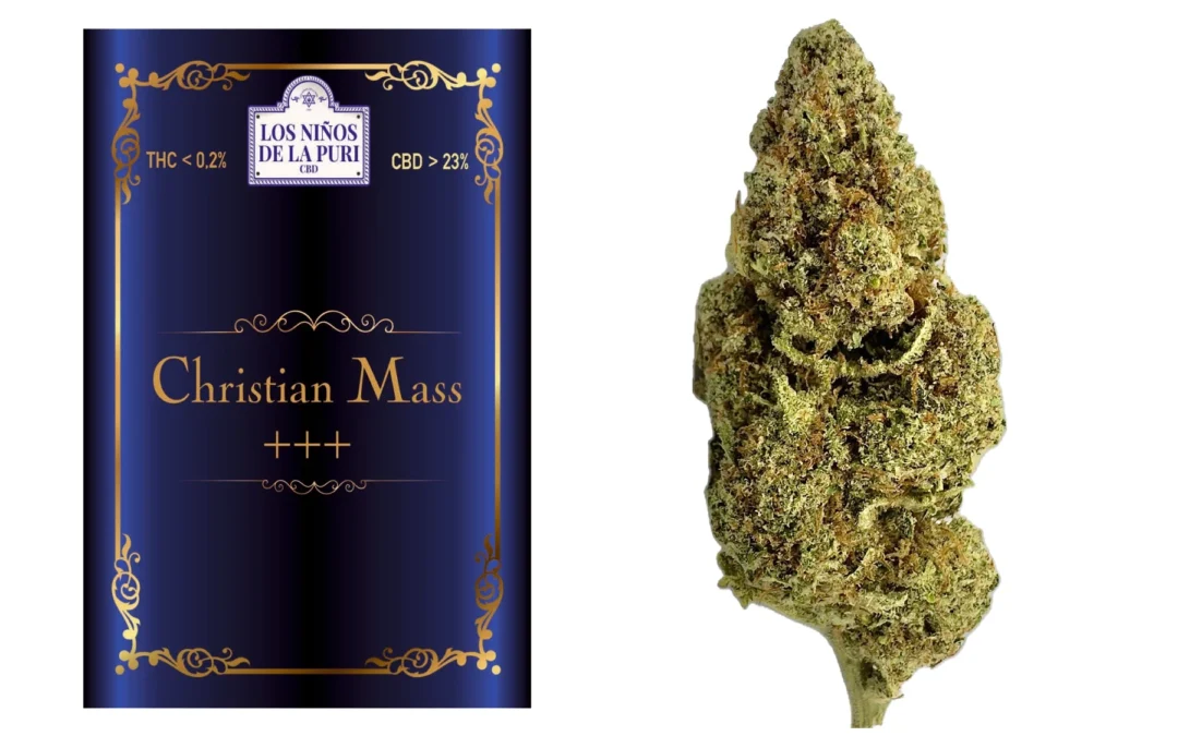 Cristian Mass Cbd