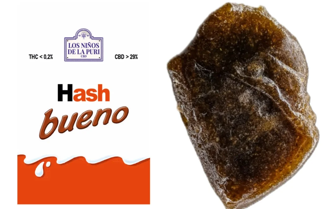 Hash Bueno cbd