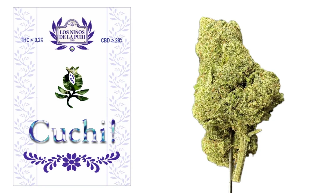 Cuchi Cbd